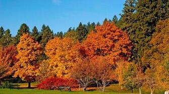 Windows Autumn Desktop Wallpaper In HD