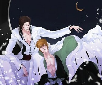 Sosuke Aizen Kurosaki Ichigo HD Wallpaper