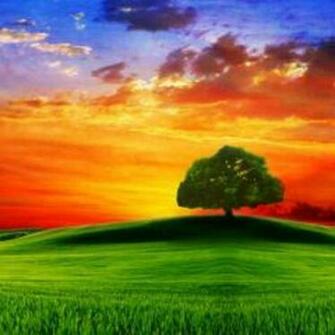 Natures And Adventures High Defination Wallpaper Heart