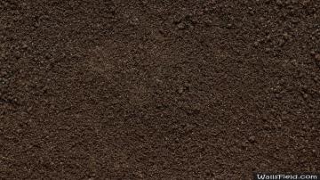 Soil Wallpaper Wallsfield HD Dirt
