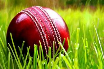 Cricket HD Wallpaper Sheet