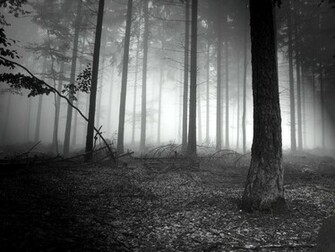 Wallpaper Dark Forest By Rauldemo66 Customize Org