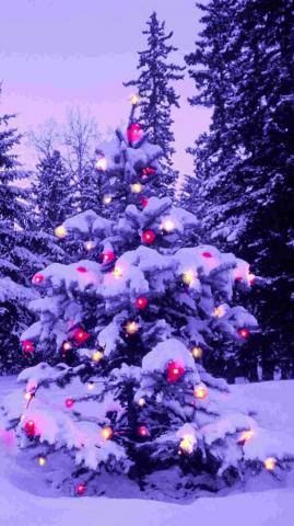 Christmas Lights Wallpaper And Screensavers