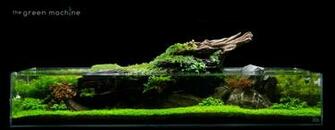 Image Aquascape Art The Green Machine