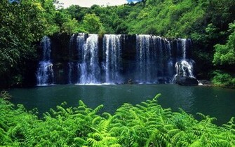 Forest Waterfall Wallpaper