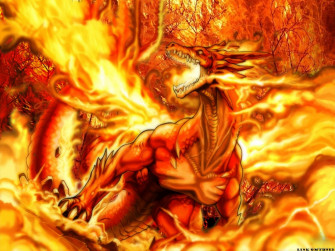 Draak Wallpaper And Achtergrond