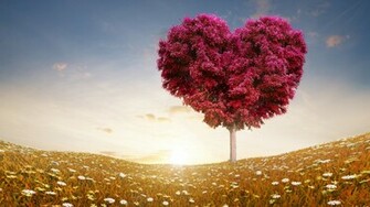 Love Wallpaper HD