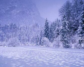 Nice Winter Wallpaper
