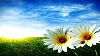 Spring Scenes Wallpaper For Desktop