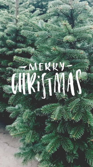 Christmas iPhone Wallpaper