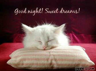 Good Night Sweet Dreams Quotes