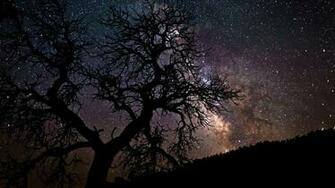 Starry Night Background Net