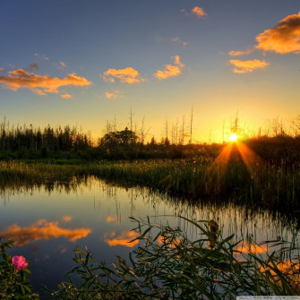 Wallpaper HD Desktop Widescreen High Resolution
