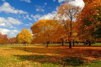 Autumn Wallpaper Sky Photography HD Desktop