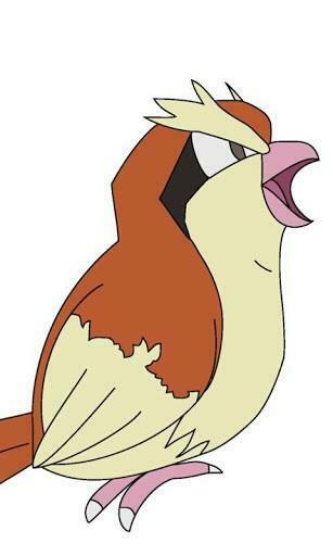 Pidgey Wallpaper App For Android