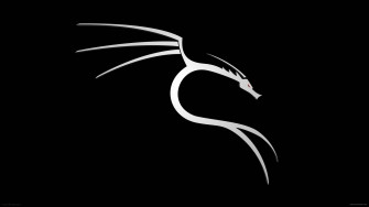 Kali Linux Wallpaper