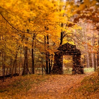 Beautiful Fall Colors iPadwallpaper Me