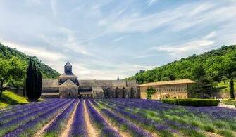 Photo Provence France HDri Nature Sky Fields Lavender