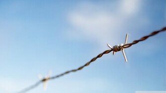Barbed Wire Wallpaper