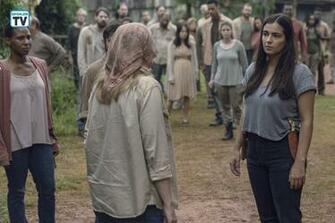 The Walking Dead Afbeeldingen Adaptation Tara And Tammy