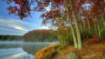 Wallpaper Animal Scenery Fresh Nature Jpg
