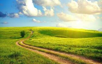 Summer Day Meadow Wallpaper