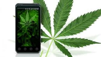 Wallpaper Background Weed Live