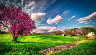 Spring Computer Background Wallpaper