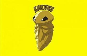 Kakuna HD Wallpaper On