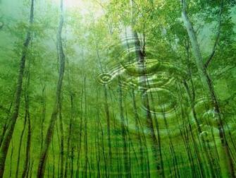 Nature Wallpaper HD A1