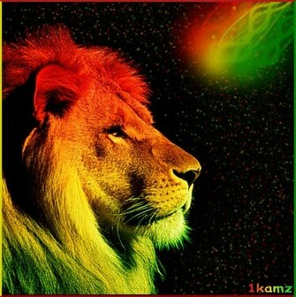 Rasta Color Wallpaper