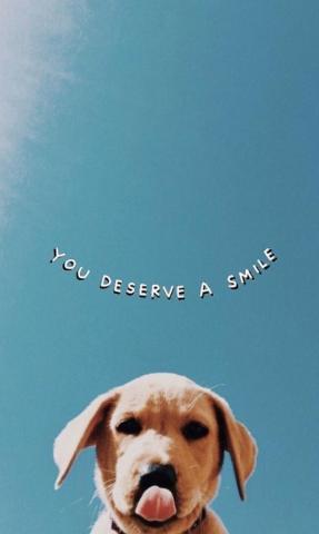 Dog Wallpaper