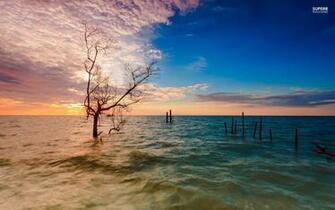 Penang Beach Malaysia Beaches