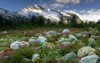 Canada Wallpaper Nature Canadian Scenerys