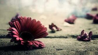 Vintage Flowers Wallpaper HD Pictures One