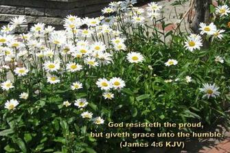 Bible Verses Image Crazy Gallery