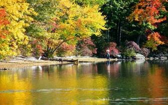 Beautiful Windows Wallpaper