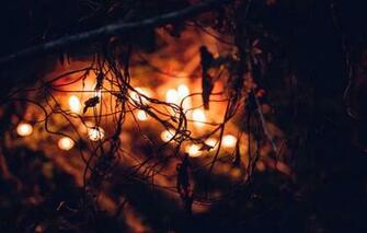Wallpaper Halloween Light Candle October Blur Leaves Plants