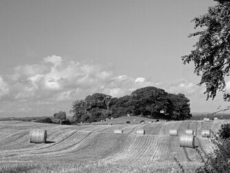 Irish Countryside