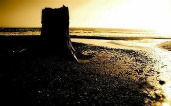 La Push Image Baby Wallpaper And