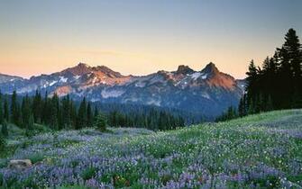Nature Photography Posters Buy A Poster
