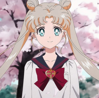 Usagi Tsukino Sailor Chibi Moon Character