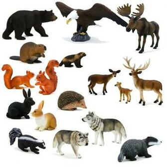 Forest Animal Pictures For Kids With Captions To Color