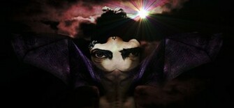 Yeux Ville Valo Wallpaper