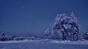 Winter Snow Night Stars Sky Wallpaper