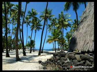 Screen Savers Of Hawaii Great World