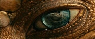 Dragon Eye Wallpaper Background