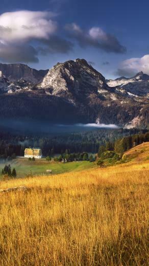 Microsoft Windows Wallpaper