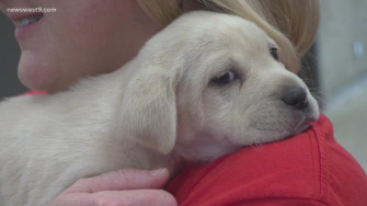 Odessa Animal Shelter To Hold Shot Clinic On April Newswest9