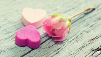 Wallpaper Flower Pink Rose Heart And